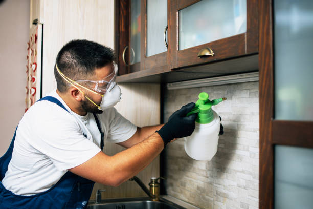 Best Commercial Pest Control Services  in Cleveland Heights, OH