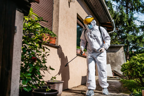 Best Termite Control Services  in Cleveland Heights, OH