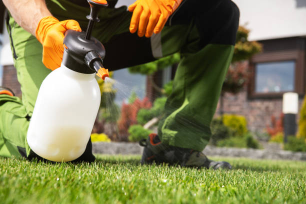 Best Bird Control  in Cleveland Heights, OH