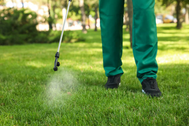 Best Rat Extermination Near Me  in Cleveland Heights, OH