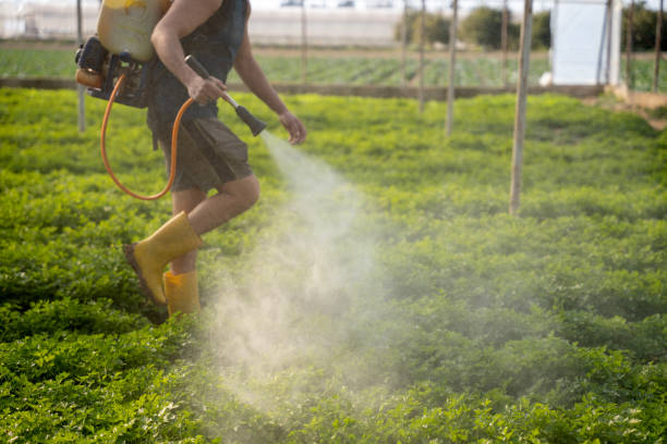 Best Ant Control Services  in Cleveland Heights, OH
