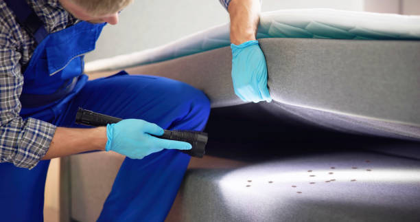 Best Emergency Pest Control  in Cleveland Heights, OH