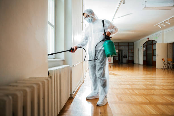 Best Termite Control Services  in Cleveland Heights, OH