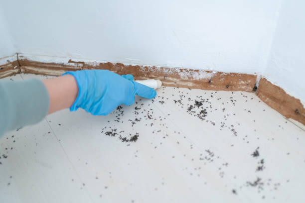 Best Pest Control Treatment  in Cleveland Heights, OH